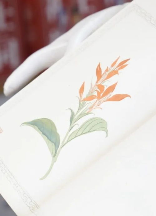 舊書(shū)新知傳習(xí)館 東城文藝 品牌空間 1